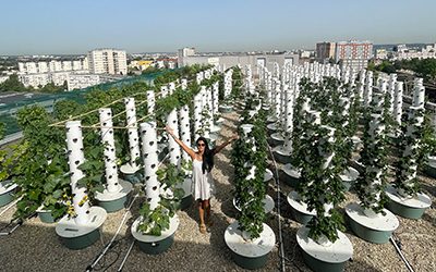 The largest rooftop Tower Farm is located in Paris