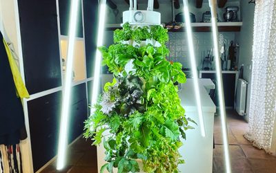 Can I grow on a Tower Garden indoors?