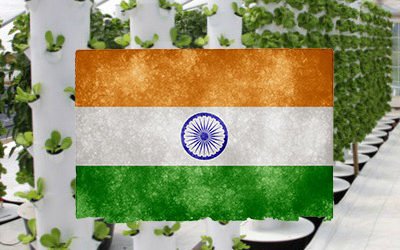 Tower Farms in India (and southeast Asia)