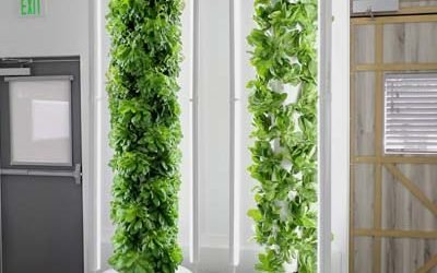 Indoor Vertical Farm using Aeroponic Towers with LED Grow Lights