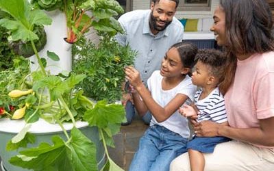 Introducing children to vegetable gardening with Tower Garden