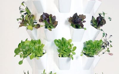 The aeroponic Microgreens Tower by Tower Garden®