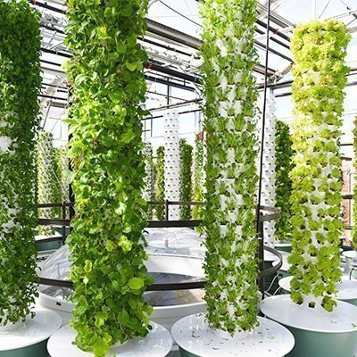 What is the difference between a regular aeroponic Tower Garden and the microgreens (baby greens) Tower Garden?