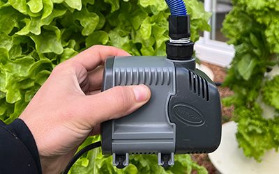 Sicce Pumps are the Best for Hydroponics