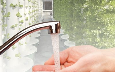 Can you use tap water in a Tower Garden?