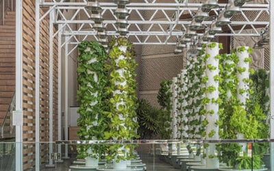 Converting an Existing Building into a Vertical Farm
