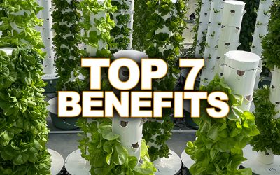 Top 7 Benefits of a Tower Farm
