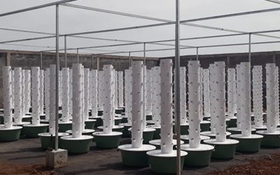 Off-the-grid aeroponic Tower Farm in Africa
