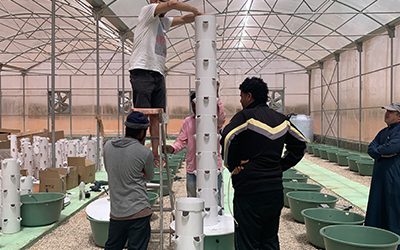 Vertical Farming in Saudi Arabia
