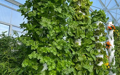 How much does the Tower Garden cost?