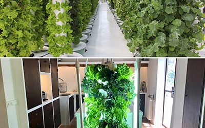 What is the difference between a Tower Garden® and a Tower Farm?