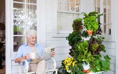 Vertical Aeroponic Gardening: Ideal for the Elderly