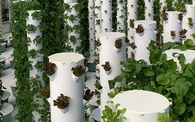 What is the Tower Garden made from?